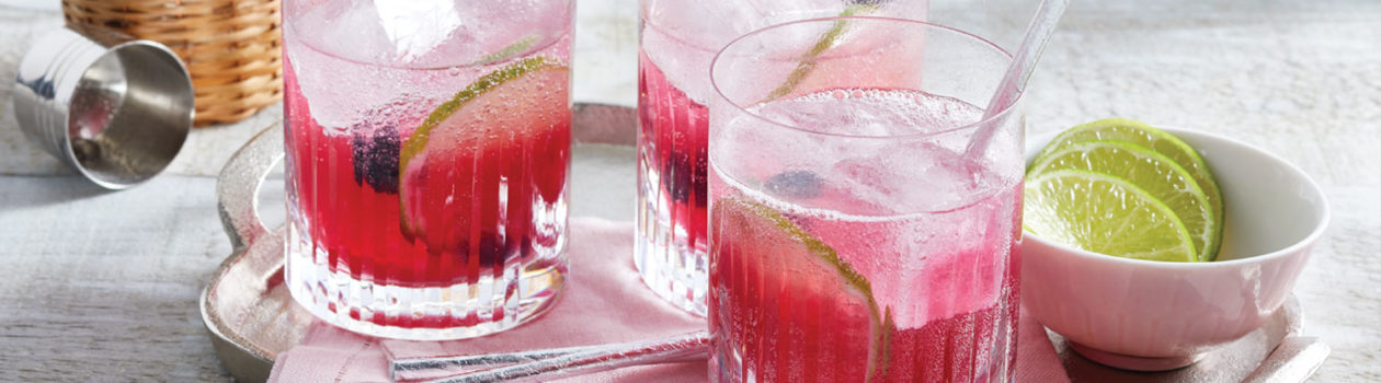 Recipe Gin Berry Smash